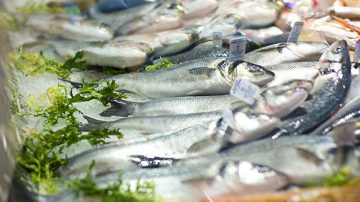 Fish Benefits