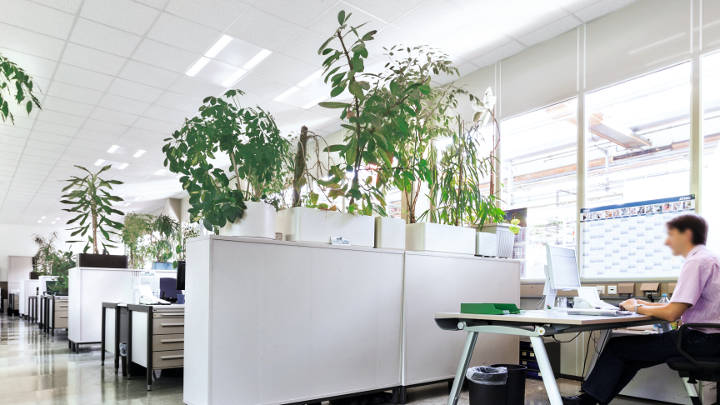 Open office area at Bosch, Germany, lit with Philips lighting
