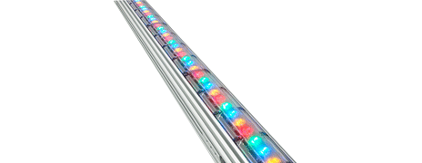 ColorGraze
