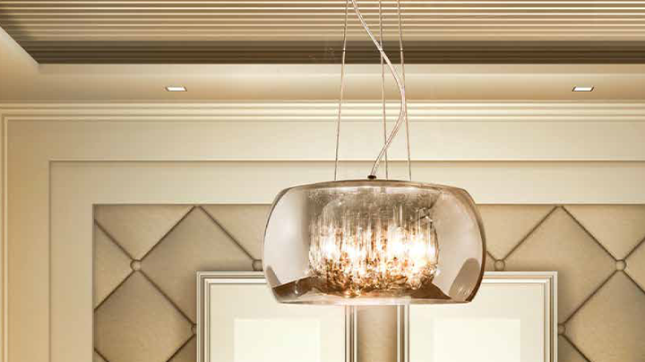 Ceiling and Suspension Light