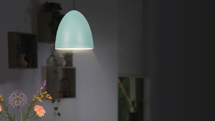 Philips Gemini Pendant Light