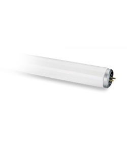 Tube shape CFL lights