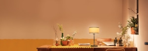 Philips LED Desk Lamps & Study Table Lights