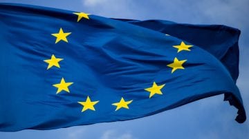 A tree next to a glass building