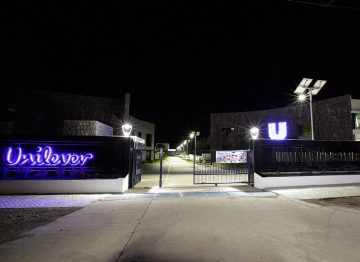 Green lighting for plants